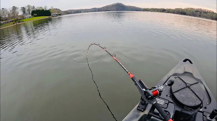 I Thought I Hooked A Flathead Catfish But......