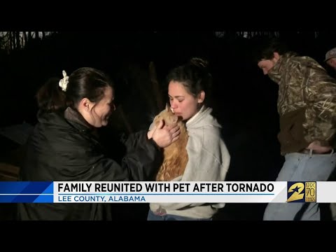 Video: Pet Scoop: Sieviete atrod suni Alive Pēc Tornado, Amtrak ļaujot mājdzīvniekiem dažos vilcienos