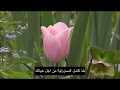 كفاك اعذار 