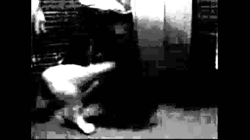 FREESTEP LOOOOOOOOOOOOOOOOOOOOOOOOOL - YouTube