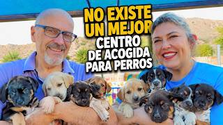 🐶🏖️ GOS AVENTURA 🐶 EL MEJOR RESORT CANINO DE ESPAÑA ASI VIVEN LOS PERROS 🐶🏖️ Y PASAN SUS VACACIONES