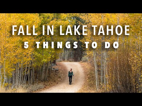 Video: Tempat Terbaik Melihat Dedaunan Musim Gugur di Danau Tahoe