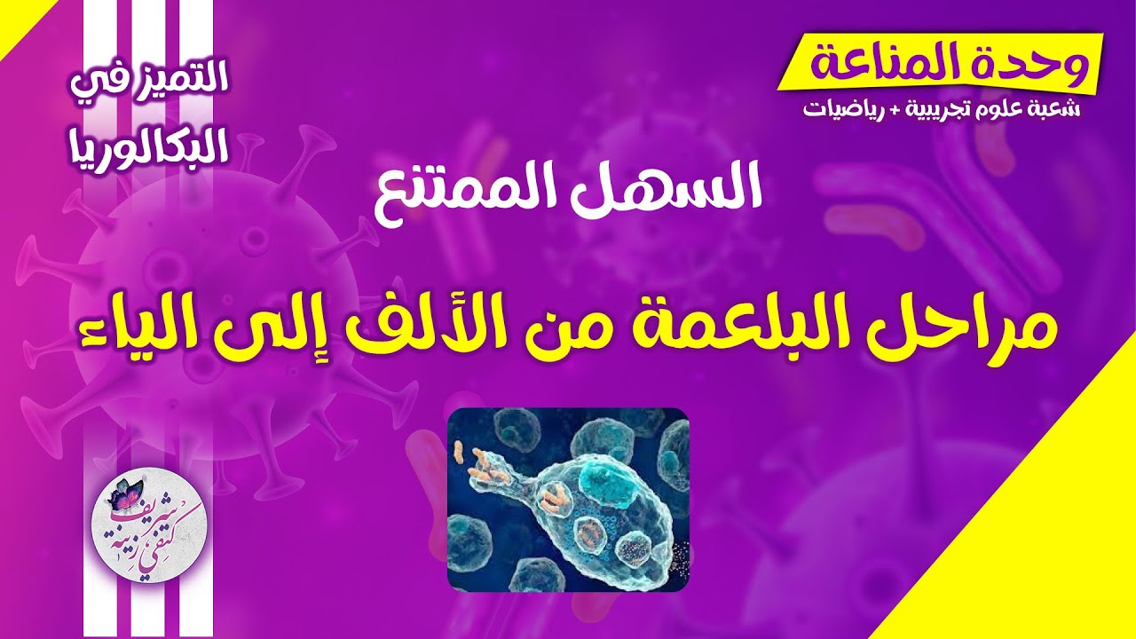 بكالوريا | مناعة | مراحل البلعمة 🧫 + منهجية انجاز رسم تخطيطي 👌