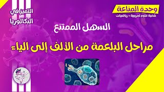 بكالوريا | مناعة | مراحل البلعمة 🧫 + منهجية انجاز رسم تخطيطي 👌