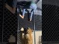 Episode 320 lion funny moment on my friend in cage 