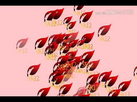 Minyak Bulus Sr12 Asli Indonesia Yuu Diorder089606076310 Youtube