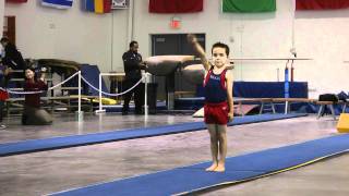 Bryce Gheisar VT 9th Level 4 4-6 yrs 2011 VLI