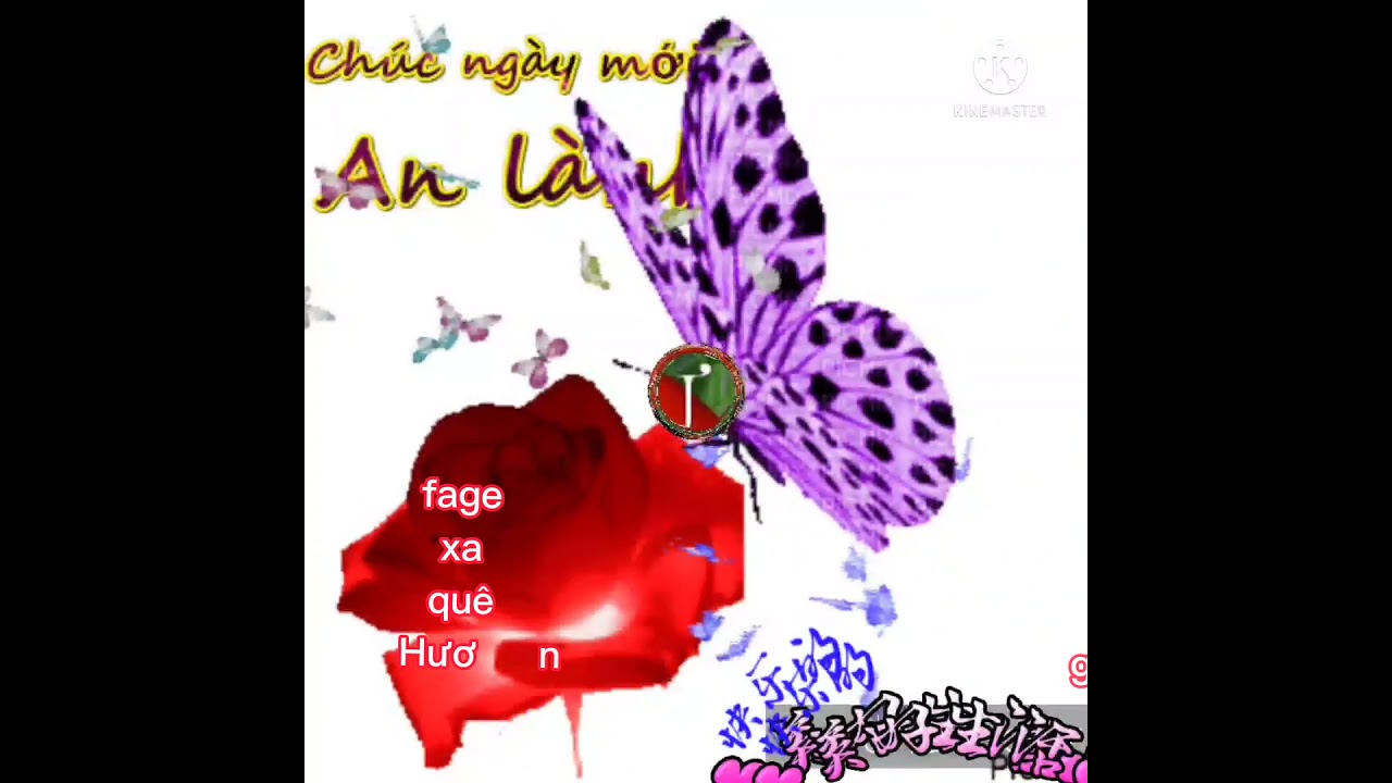 Thứ Hai đầu tuần ???? chúc các bạn ngày mới vui vẻ hạnh... - youtube