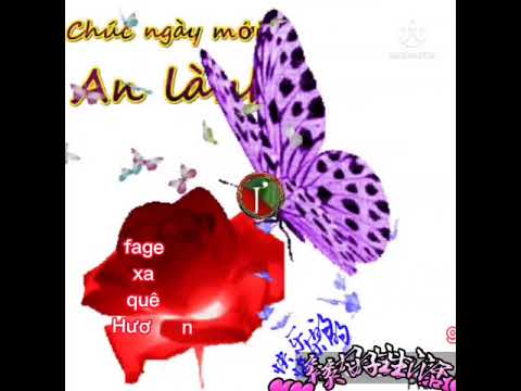 Video Thứ Hai đầu tuần ???? chúc các bạn ngày mới vui vẻ hạnh... - youtube