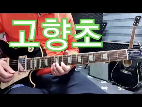 트로트기타/<strong>고향초</strong>(원곡)장세정 Dm스케일