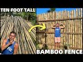 BUILDING GIANT BAMBOO FENCE - Beach Land Life In The Philippines (Davao, Mindanao)