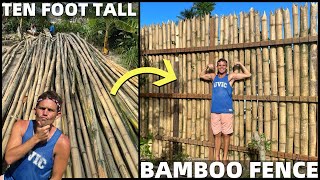 BUILDING GIANT BAMBOO FENCE - Beach Land Life In The Philippines (Davao, Mindanao)