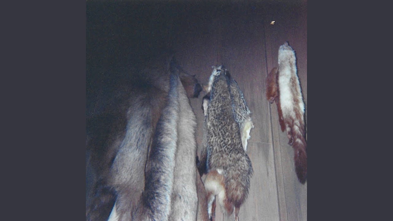 Guarda fuss su YouTube Guarda fuss su YouTube