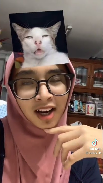 filter kucing yang lagi viral di tiktok, sumber tiktok @hakkai_44