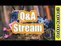 Q&A Livestream - June 22, 2020