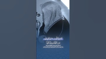 تلاوة إبداعية تأخدك لعالم آخر للشيخ سعود الشريم 🌿🎧