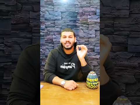 الأسد مش هو ملك الغابة والدليل في الفيديو