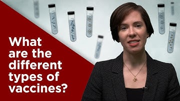What are the different types of vaccines?