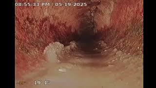 135 174th Ave E B 051925