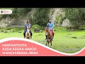Hawwattoota Adda Addaa Haroo Wancii Keessa Jiran Hawwattoota Adda Addaa Haroo Wancii Keessa Jiran