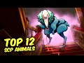 SCP-1550 Dr. Wondertainment&#39;s Custom Pets  - Top 12 SCP Animals (Compilation)