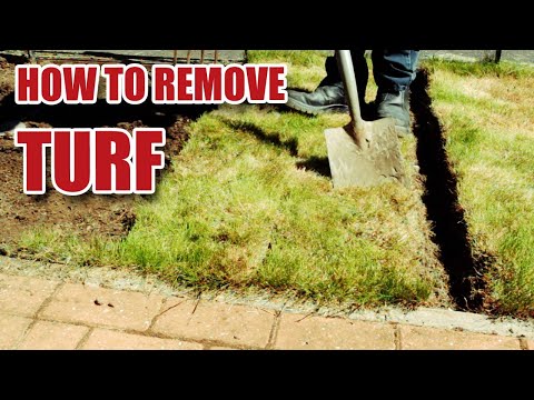 How to Remove Turf / Grass