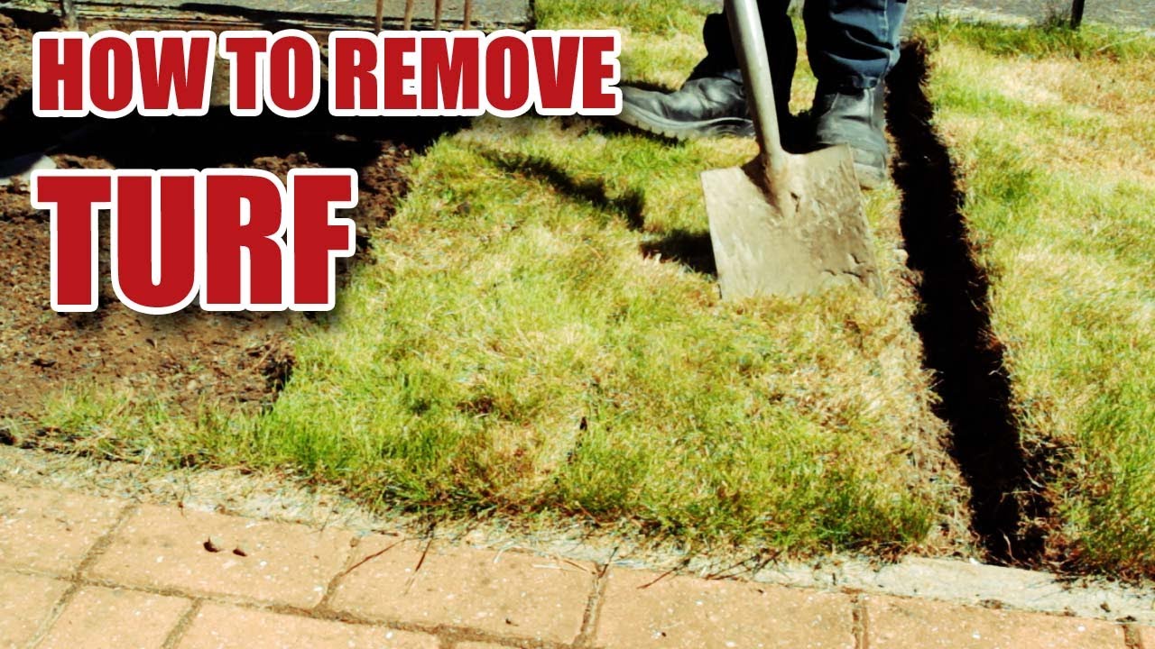 how-to-remove-turf-grass-youtube