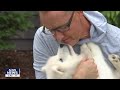 Meteorologist ian leonards new puppy meet baxter  fox 9 kmsp