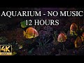 AQUARIUM 4K Coral Reef 4K Aquarium NO MUSIC and NO ADS - 12 Hours | Aquarium Sounds For Sleeping