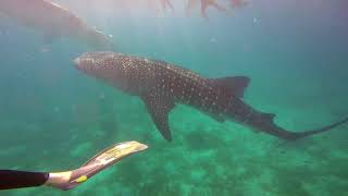My Trip to the Philippines 2017