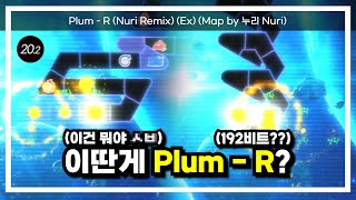 우린 이걸 R이라고 한 적이 없어요ㅣPlum - R (Nuri Remix) (Ex) [ Map by 누리 ]