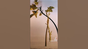 wilcom software tutorial |single head embroidery machine | small business ideas