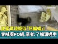 氣象影響與災難