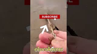 Videonun Sonunda Ne Bulduğunu Görünce, Şaşıracaksınız.