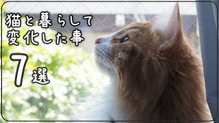 【7選】猫と暮らしたら生活がこんな風に変わりました！｜ノルウェージャンフォレストキャット by まどろみのノルウェージャン's 155 views 2 years ago 5 minutes, 52 seconds