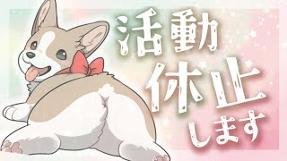 【報告】犬井マル、活動休止します【雑談】