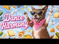 Dance Harmony