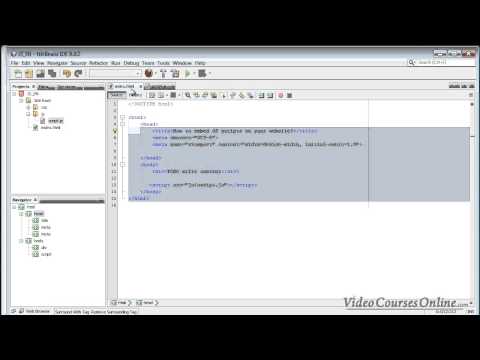 Properly embedding JavaScript