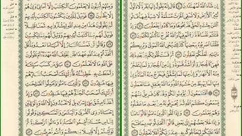 صفحة رقم 11,12 من سورة البقرة مكررة للشيخ مشاري العفاسي