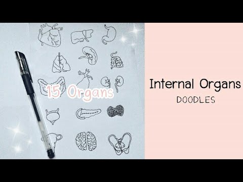 Internal Organs Doodles | วาดรูปอวัยวะภายในง่ายๆ ด้วยปากกาแท่งเดียว