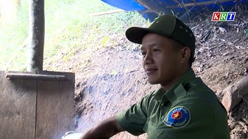 Tăng cường công tác quản lý, bảo vệ rừng ở những vùng trọng điểm