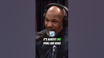 The transformative experience of psychedelics  DMT vs 5 MeO DMT