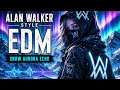 Alan Walker Vibes X EDM Mountain - Kingdom of Clouds