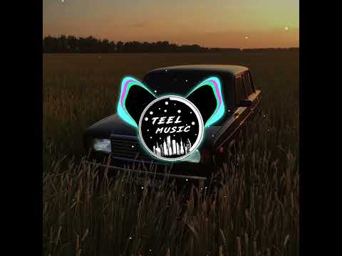 Bashie BULGARİAN TRAP CAR MUSİC