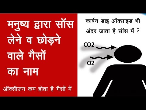 वीडियो: नावें किस प्रकार की गैस लेती हैं?