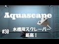 #30 水槽用スクレーパー　最高!!