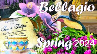 Bellagio Spring Display 2024, Las Vegas by Fenway Leo 101 views 4 weeks ago 2 minutes, 25 seconds