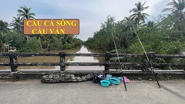 CÂU CÁ  Tra SÔNG RẠCH NHỎ Ở MIỀN TÂY