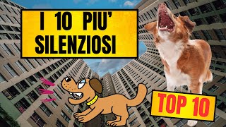 Cani Che Abbaiano Poco: Le 10 Migliori Razze Per Un Contesto Condominiale! by Funny Pets 2,207 views 10 months ago 8 minutes, 14 seconds