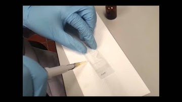 Protein encapsulation in microneedles - Video abstract: 32000